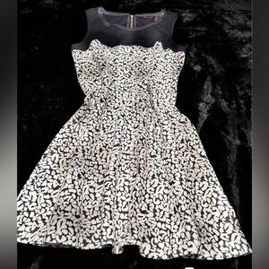 Women’s black and cream dress